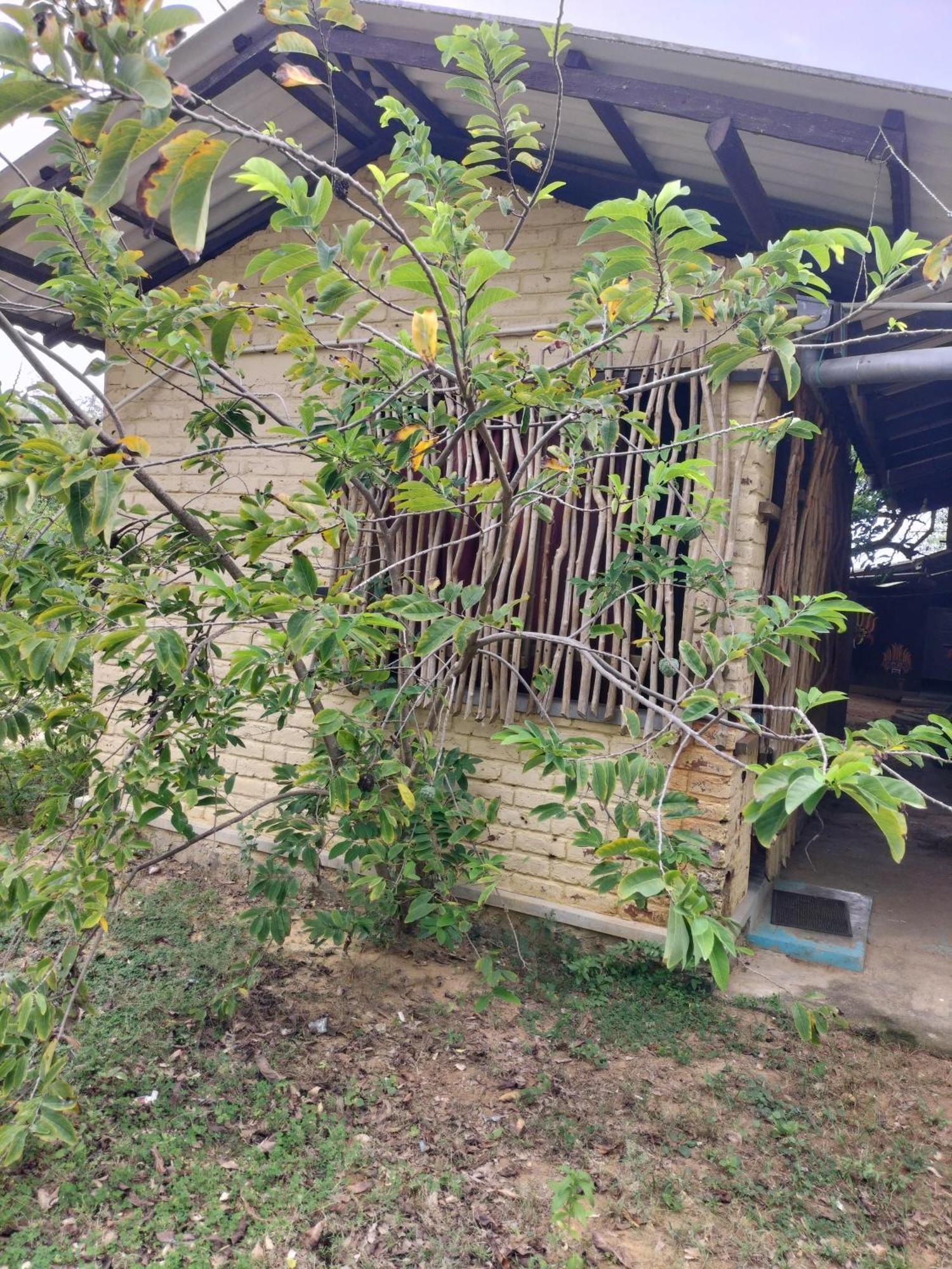 Yala Ying Yang Hostel & Camping 外观 照片